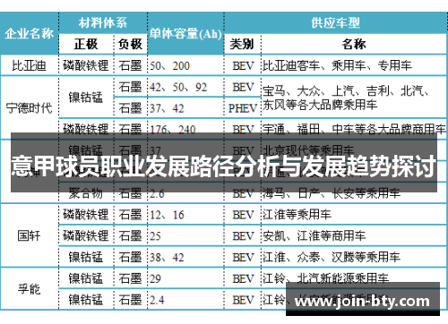 意甲球员职业发展路径分析与发展趋势探讨