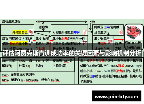 评估阿贾克斯青训成功率的关键因素与影响机制分析