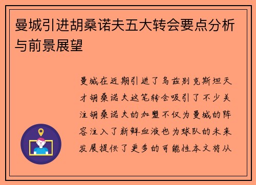 曼城引进胡桑诺夫五大转会要点分析与前景展望