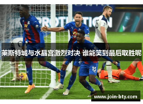 莱斯特城与水晶宫激烈对决 谁能笑到最后取胜呢