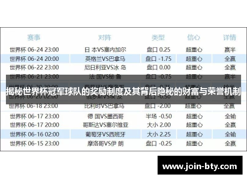 揭秘世界杯冠军球队的奖励制度及其背后隐秘的财富与荣誉机制