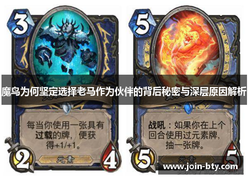 魔鸟为何坚定选择老马作为伙伴的背后秘密与深层原因解析